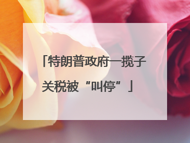 特朗普政府一揽子关税被“叫停”