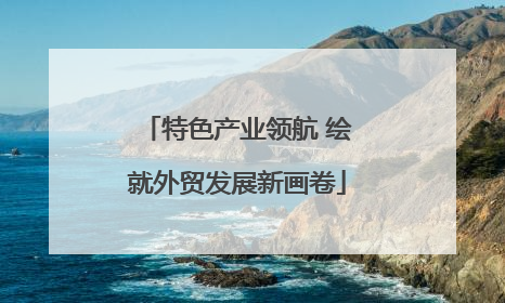特色产业领航 绘就外贸发展新画卷