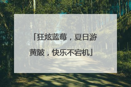 狂炫蓝莓，夏日游黄陂，快乐不宕机