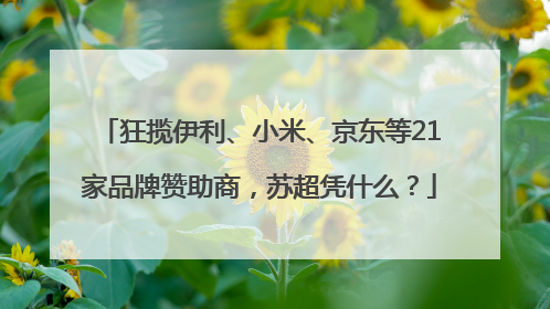 狂揽伊利、小米、京东等21家品牌赞助商，苏超凭什么？