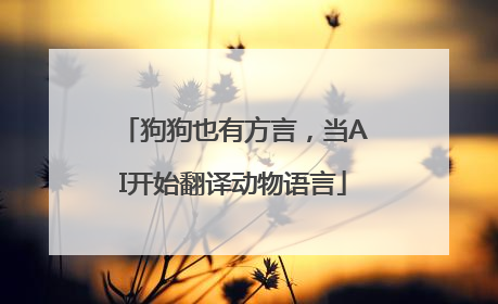 狗狗也有方言，当AI开始翻译动物语言