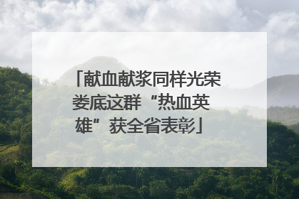 献血献浆同样光荣 娄底这群“热血英雄”获全省表彰
