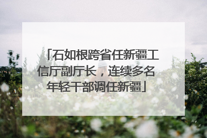 石如根跨省任新疆工信厅副厅长，连续多名年轻干部调任新疆