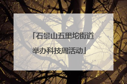 石景山五里坨街道举办科技周活动
