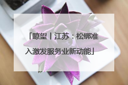 瞭望丨江苏：松绑准入激发服务业新动能