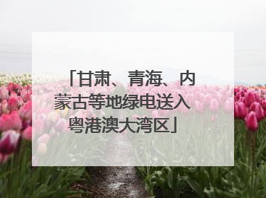 甘肃、青海、内蒙古等地绿电送入粤港澳大湾区