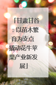 甘肃甘谷：以苗木繁育为支点 撬动花牛苹果产业新发展