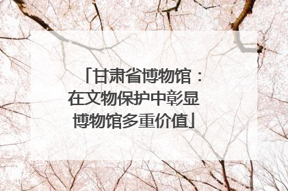 甘肃省博物馆：在文物保护中彰显博物馆多重价值