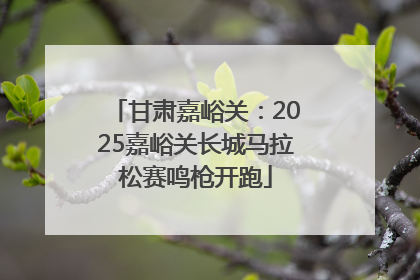甘肃嘉峪关：2025嘉峪关长城马拉松赛鸣枪开跑