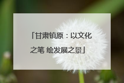 甘肃镇原：以文化之笔 绘发展之景