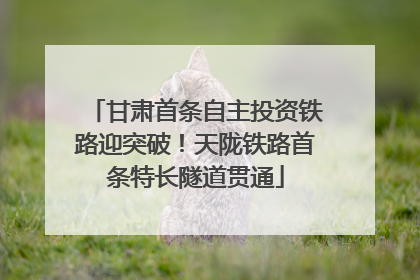 甘肃首条自主投资铁路迎突破！天陇铁路首条特长隧道贯通