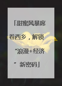 甜蜜风暴席卷西乡，解锁“浪漫+经济”新密码