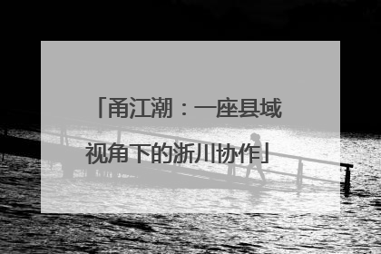 甬江潮：一座县域视角下的浙川协作