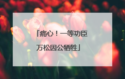 痛心！一等功臣万松因公牺牲