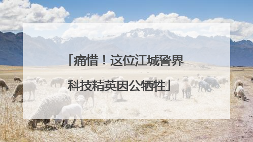 痛惜！这位江城警界科技精英因公牺牲