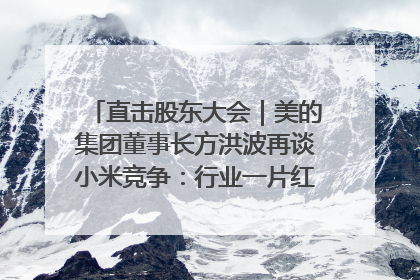 直击股东大会｜美的集团董事长方洪波再谈小米竞争：行业一片红海，打法已固定，无论谁胜都是消耗战