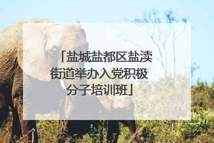 盐城盐都区盐渎街道举办入党积极分子培训班