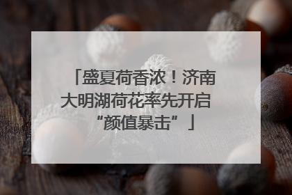 盛夏荷香浓！济南大明湖荷花率先开启“颜值暴击”