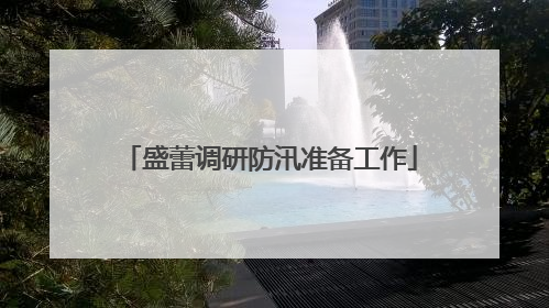 盛蕾调研防汛准备工作