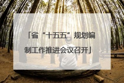 省“十五五”规划编制工作推进会议召开