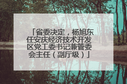 省委决定，杨旭东任安庆经济技术开发区党工委书记兼管委会主任（副厅级）