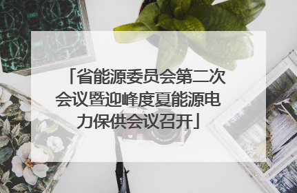 省能源委员会第二次会议暨迎峰度夏能源电力保供会议召开