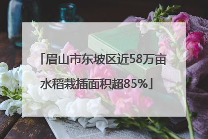 眉山市东坡区近58万亩水稻栽插面积超85%