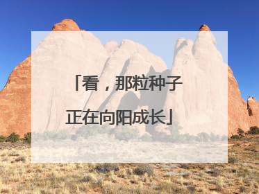 看，那粒种子正在向阳成长