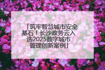 筑牢智慧城市安全基石！长沙政务云入选2025数字城市管理创新案例