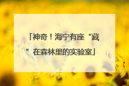 神奇！海宁有座“藏”在森林里的实验室