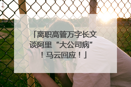 离职高管万字长文谈阿里“大公司病”！马云回应！