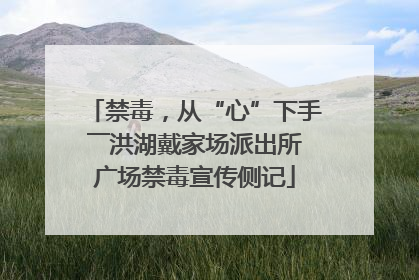 禁毒，从“心”下手――洪湖戴家场派出所广场禁毒宣传侧记