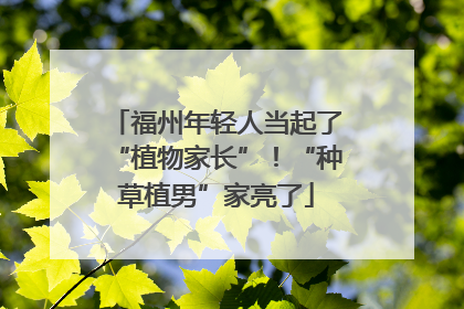 福州年轻人当起了“植物家长”！“种草植男”家亮了