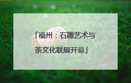 福州：石雕艺术与茶文化联展开幕