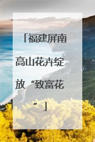福建屏南高山花卉绽放“致富花”