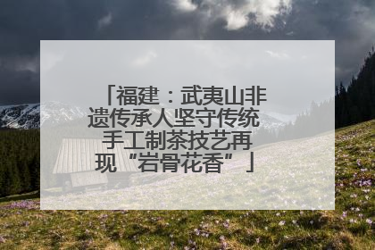 福建：武夷山非遗传承人坚守传统 手工制茶技艺再现“岩骨花香”