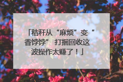 秸秆从“麻烦”变“香饽饽” 打捆回收这波操作太赚了！