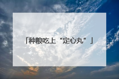 种粮吃上“定心丸”