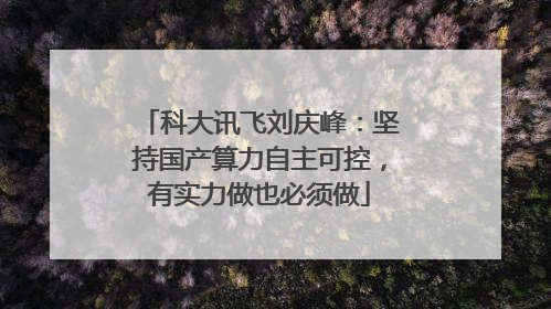 科大讯飞刘庆峰：坚持国产算力自主可控，有实力做也必须做