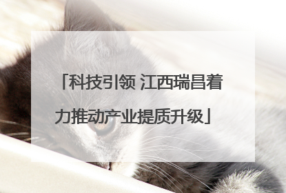 科技引领 江西瑞昌着力推动产业提质升级