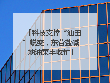 科技支撑“油田”蜕变，东营盐碱地油菜丰收忙