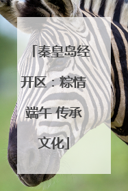 秦皇岛经开区：粽情端午 传承文化
