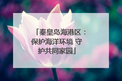 秦皇岛海港区：保护海洋环境 守护共同家园