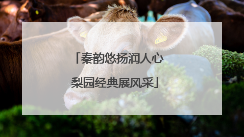 秦韵悠扬润人心 梨园经典展风采
