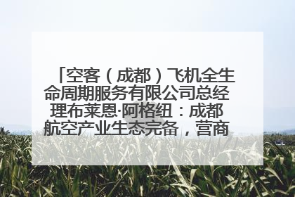 空客（成都）飞机全生命周期服务有限公司总经理布莱恩·阿格纽：成都航空产业生态完备，营商环境优势显著