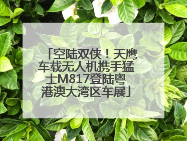 空陆双侠！天鹰车载无人机携手猛士M817登陆粤港澳大湾区车展