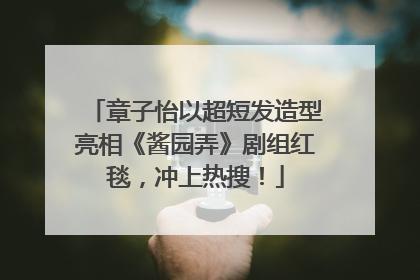 章子怡以超短发造型亮相《酱园弄》剧组红毯，冲上热搜！