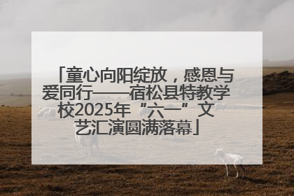 童心向阳绽放，感恩与爱同行——宿松县特教学校2025年“六一”文艺汇演圆满落幕