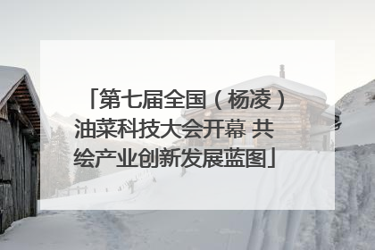 第七届全国（杨凌）油菜科技大会开幕 共绘产业创新发展蓝图