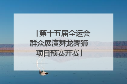 第十五届全运会群众展演舞龙舞狮项目预赛开赛